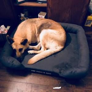 Meet your Posher, Virgilio